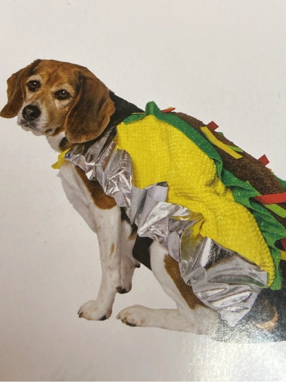 NEW Halloween Dog Pet TACO Costume Outfit Size Medium 17”